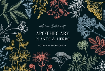 Apothecary plant banner design. Witchcraft background. Herbal remedies, medicinal plants, witch herbs hand-drawn vector illustration. Vinatge card template. NOT AI genereted